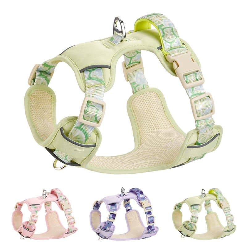 Adjustable Dog Harness and Leash Set for Outdoor Use with Breathable Mesh Design