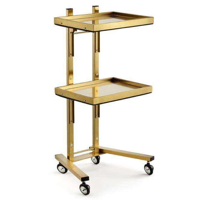 Tools Barbershop Salon Furniture SPA Swivel Beauty High Quality Trolley Lightweight Cart
