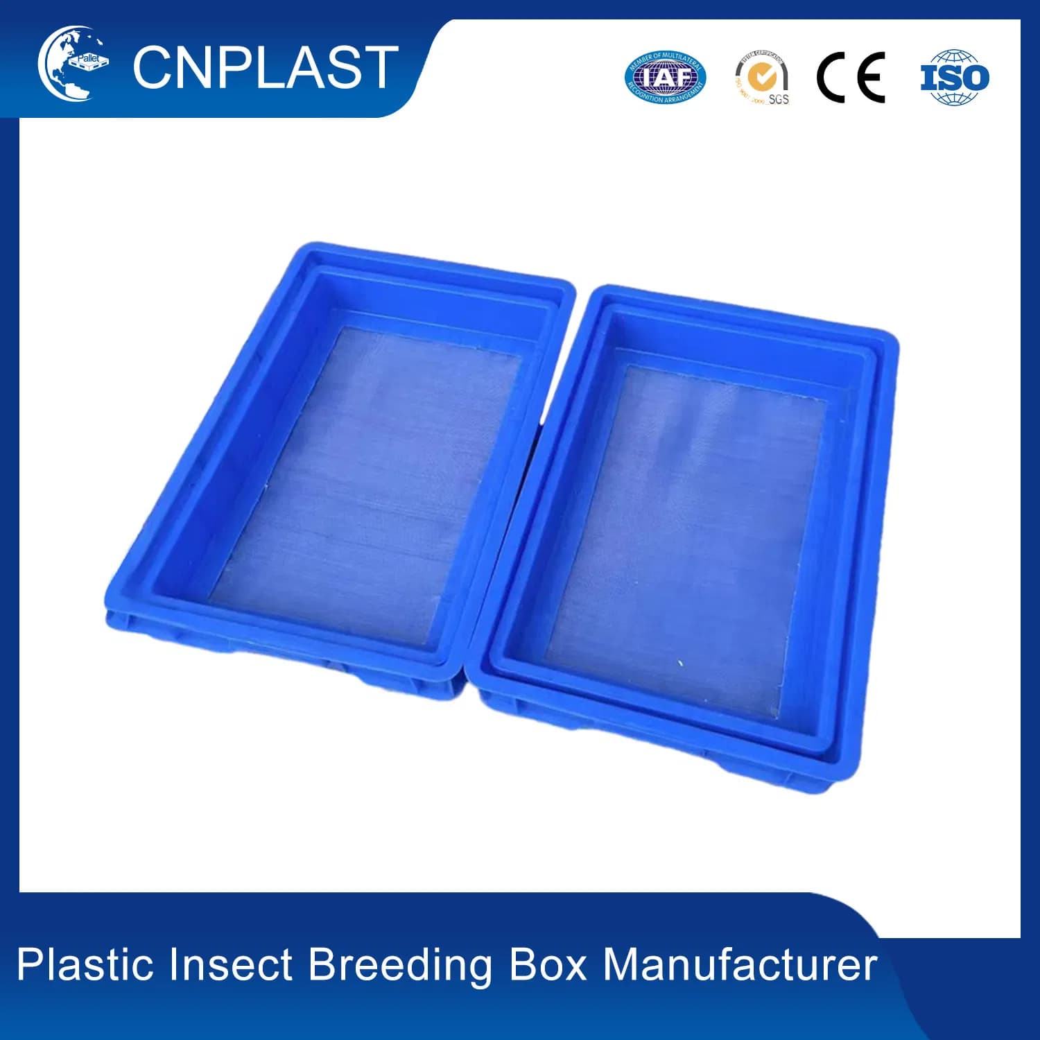Blue PP Stackable Mealworm Plastic Insect Bsf Breeding Box Black Soldier Flies