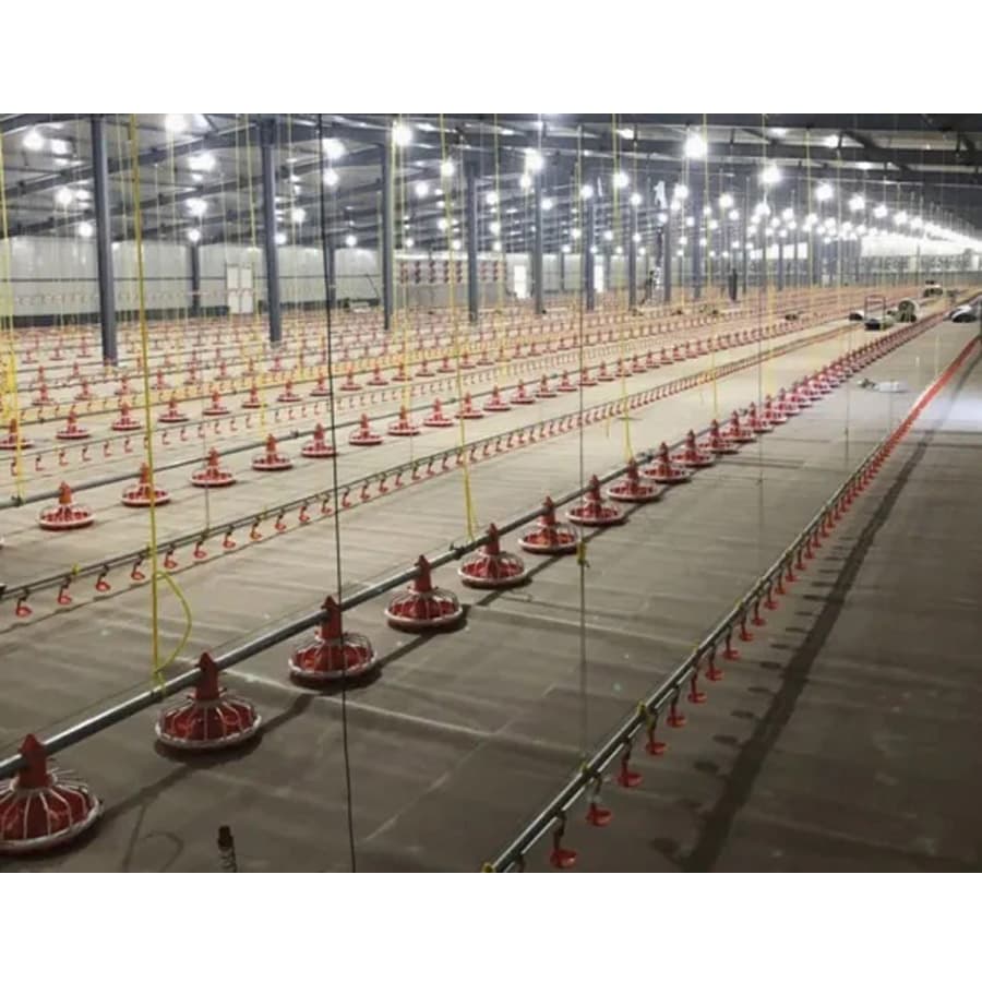 Chicken Ground System Automatic Chicken Feeder for Poultry Farm
