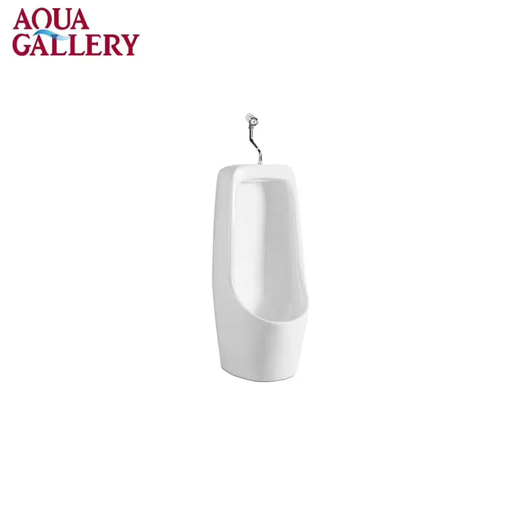 Modern Toilet Man Wc High Gloss White Glazed Floor Standing Back Wall