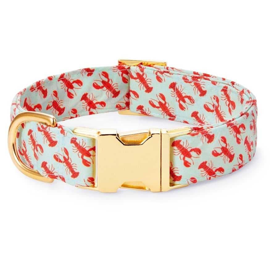 Eco Friendly Pet Smart Dog Collar with Health Monitoring