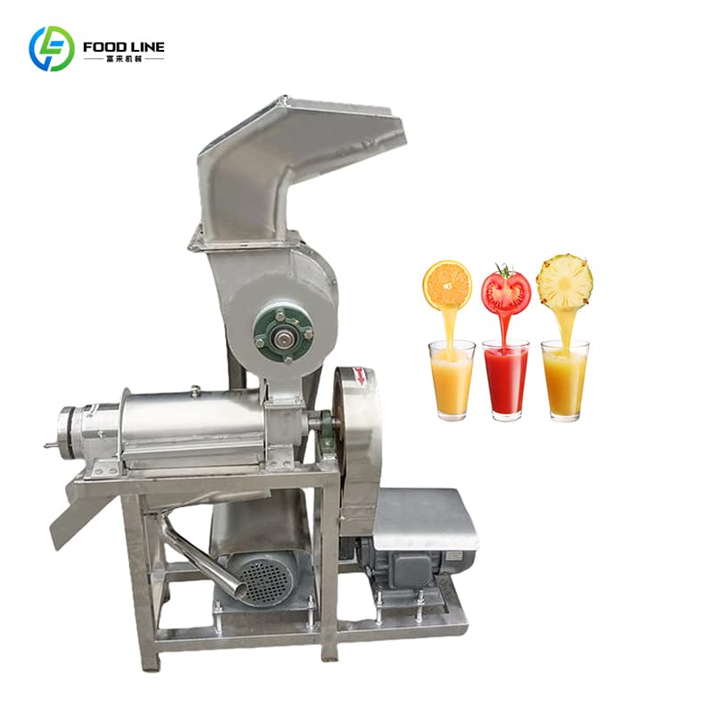Different Capacity Ginger Mango Lemon Industrial Cold Press Fruit Juice Extractor