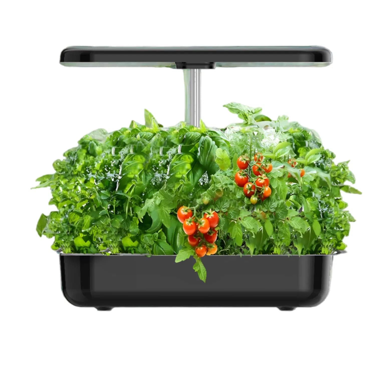 Indoor Hydroponic Grow System with Automatic LED Growth Lights