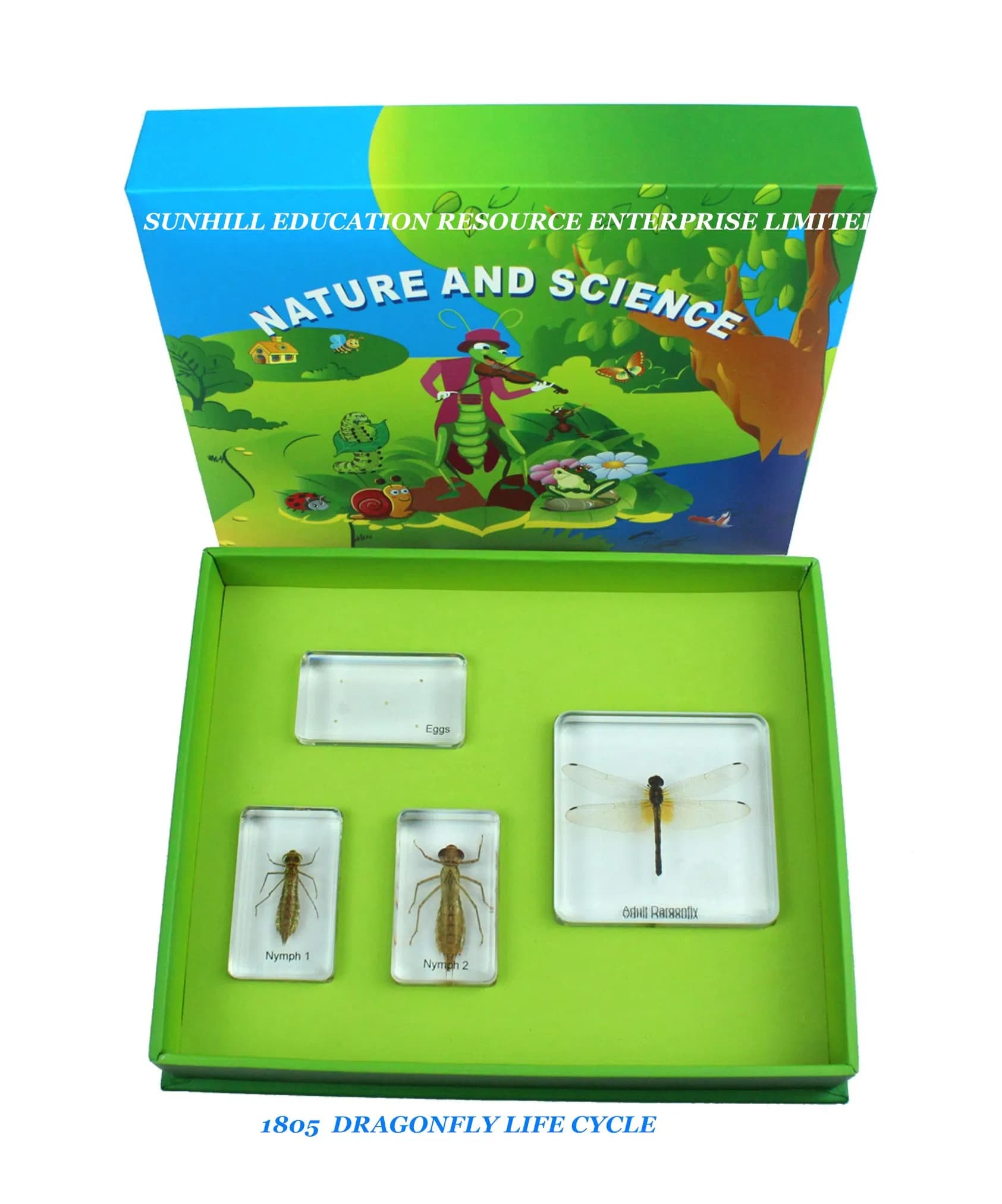 Hot Sales Educationa Science Learning Toy, Kids Science Classroom and Educational Resin and Crystal Teaching Specimen for Kindergarten and Preschool