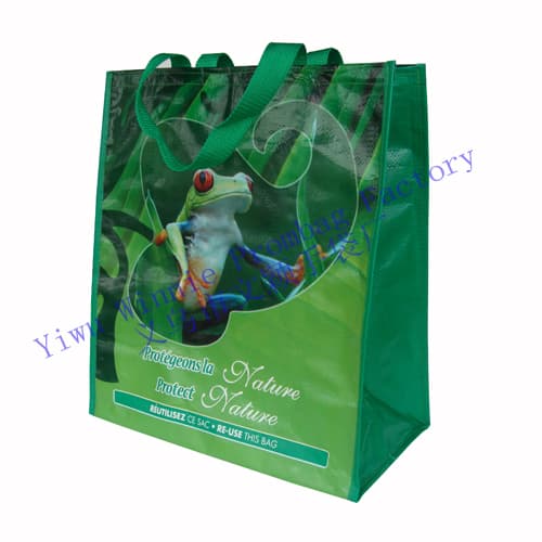 PP Woven Bag, Tote Bag, Shopping Bag, Carry Bag, Plastic Bag, Eco Bag (WY81016)